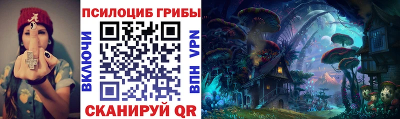 darknet клад Тихорецк Псилоцибиновые грибы MAGIC MUSHROOMS